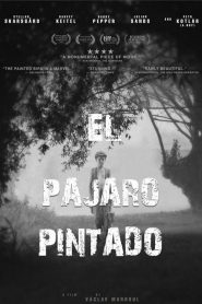 Ver El Pájaro Pintado 2019 Online
